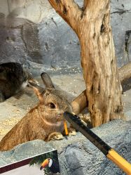 -Zoolung Zoolung动物主题公园(海信广场店)