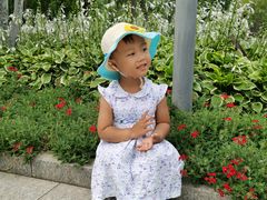 -古城公园
