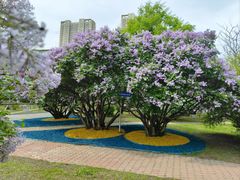-东北大学(南湖校区)