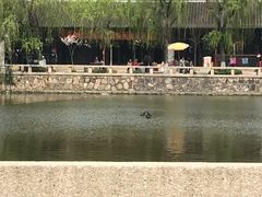 -水绘园