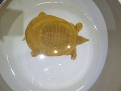 -巴人堂(女儿城店)