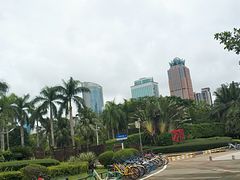 -万绿园