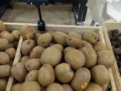 -成都濑川外国语学校