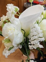 -金夫人婚纱摄影(观音桥店)