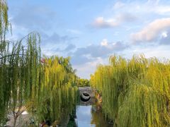 -东台西溪天仙缘景区