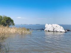 -上海吴淞炮台湾国家湿地公园