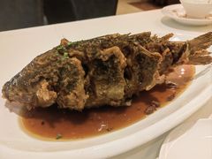 -金春禧(世茂国际广场店)