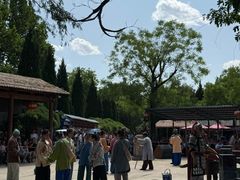 -大槐树寻根祭祖园