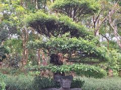 -深圳国际园林花卉博览园