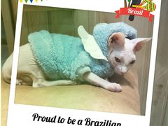 -藏猫猫咖啡主题馆(中央大道店)