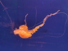 -杭州海底世界