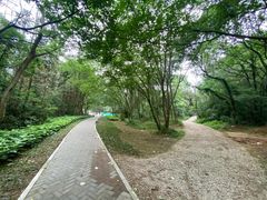 -青龙山国家森林公园