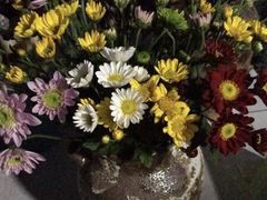 -三圣花乡旅游区