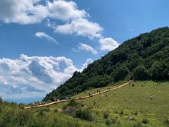 -白草畔自然风景区