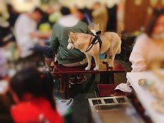 -水碾河刘老大串串香(水碾河路店)