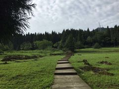 -武陵山森林公园