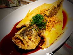 -大树餐厅(大悦城店)