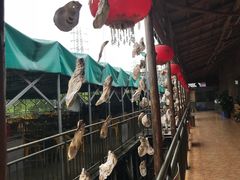 -崖口红树林海鲜餐厅