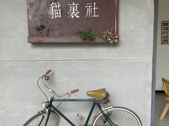 -猫里有甜