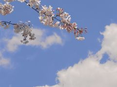 -羊山湖公园
