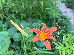 -阳澄湖费尔蒙酒店颐丰阁中餐厅(马鞍山西路店)