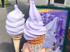 -富田农场