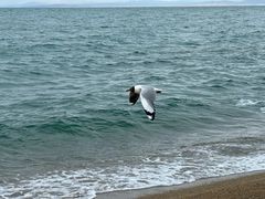 -青海湖二郎剑景区