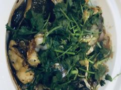 -宜宾海鲜酒家·三十年老字号