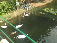 -长白岛森林公园