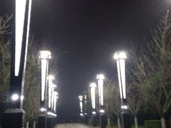 -燕鸣岛