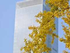-两江幸福广场