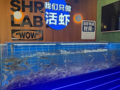 -0048鲜活香辣虾·火锅(铜陵路店)
