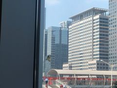 -大中华希尔顿酒店-念自助餐·嗨啤·小龙虾