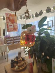 -dōTERRA多特瑞精油生活馆