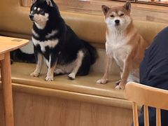 -柴の食堂·日式家庭料理·熊之肆(大学路店)