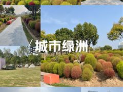 -春花秋色城市公园