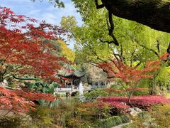 -申粤轩酒楼·三十年粤菜经典(丁香花园店)