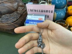 -志强陨石馆(双季花艺店)