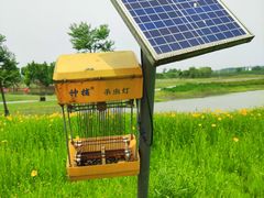 -洪湖湿地生态园