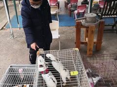 -上海佘山世茂艾美酒店
