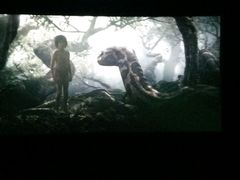 -华联影城(蒙城路店)