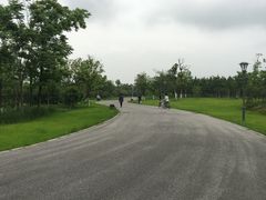 -瑶湖郊野森林公园