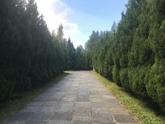 -三塔倒影公园