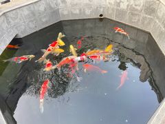 -西安市广仁寺