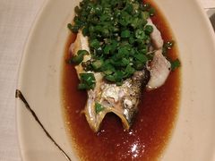 -许家菜.艺创菜(仁和新城店)