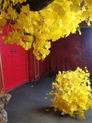 点击看大图 -凤绫儿亲子儿童摄影馆(天津店)