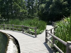 -成都市活水公园