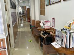 -宠福鑫动物医院(望京分院)