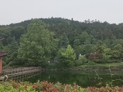 -冶父山国家森林公园