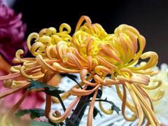 -同和居(什刹海店)